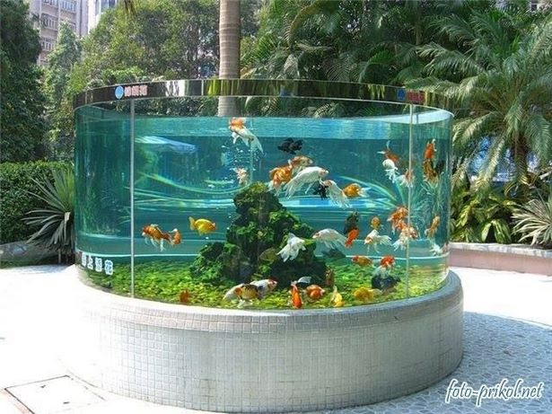 outdoor-fish-tank-37_3 Открит резервоар за риба