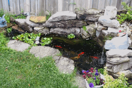 outdoor-goldfish-pond-ideas-63 Външни идеи за езерце за златни рибки
