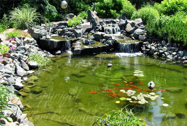 outdoor-koi-pond-31_4 Открит кои езерце
