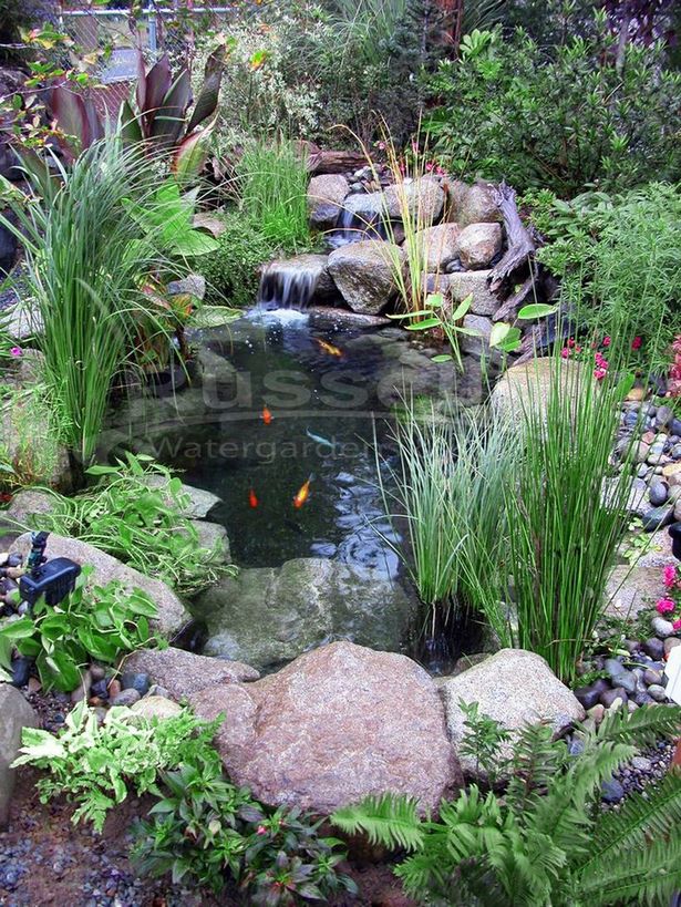 pond-decor-ideas-73_5 Идеи за декор на езерце