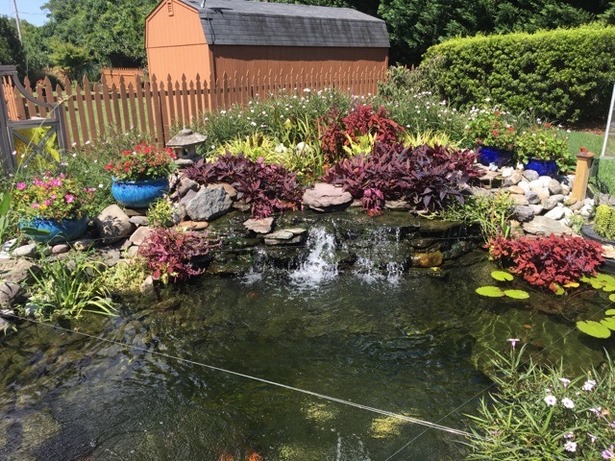 pond-for-yard-04 Езерце за двор