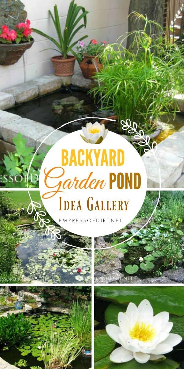 pond-ideas-for-backyard-47_15 Езерце идеи за задния двор