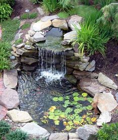 ponds-for-backyard-53_12 Езера за задния двор