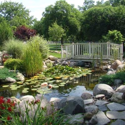 ponds-for-backyard-53_15 Езера за задния двор