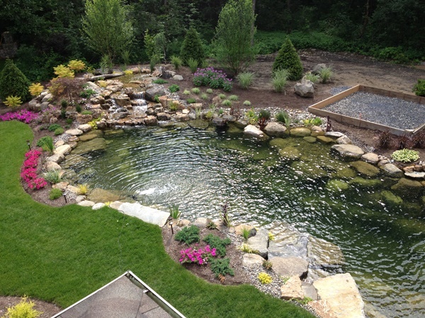 ponds-for-backyard-53_4 Езера за задния двор