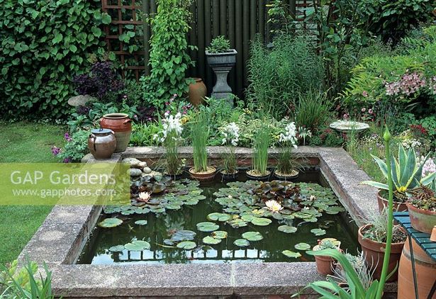 raised-garden-pond-94_9 Издигнато градинско езерце