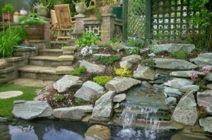 rocks-for-garden-ponds-71_8 Камъни за градински езера
