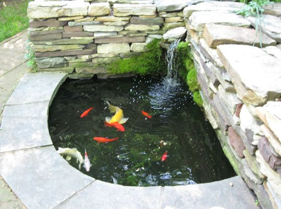 simple-fish-pond-60 Обикновено рибно езеро
