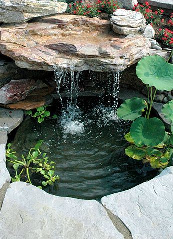 simple-garden-ponds-59_16 Прости градински езера