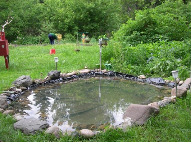 small-backyard-fish-pond-ideas-23_7 Малък двор риба езерце идеи