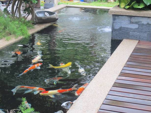 small-backyard-koi-pond-ideas-42_4 Малък заден двор кои езерце идеи