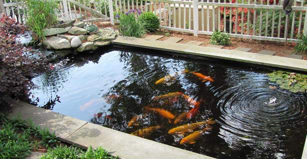 small-backyard-koi-pond-ideas-42_9 Малък заден двор кои езерце идеи