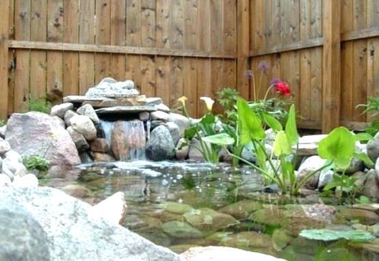 small-backyard-pond-with-waterfall-01_16 Малък двор езерце с водопад
