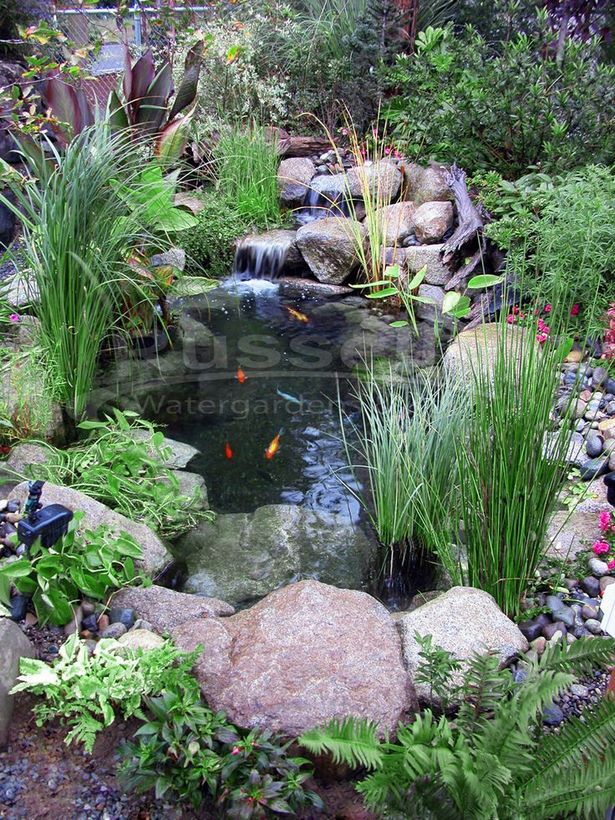 small-backyard-ponds-and-fountains-19_8 Малки езерца и фонтани в задния двор