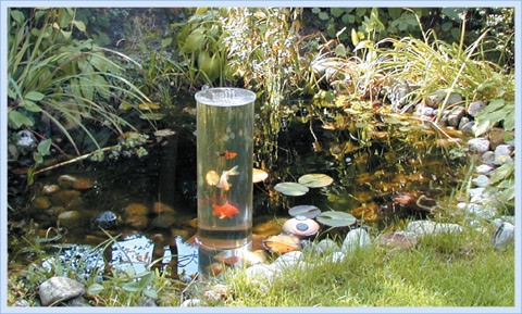 small-fish-pond-design-ideas-09_12 Малки идеи за дизайн на рибно езерце