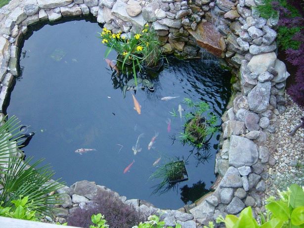small-fish-pond-design-ideas-09_17 Малки идеи за дизайн на рибно езерце