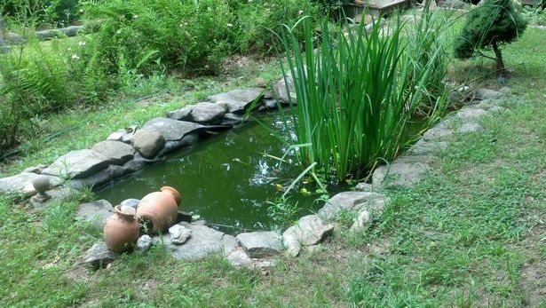 small-frog-pond-ideas-99_18 Малки жабешки езерца идеи