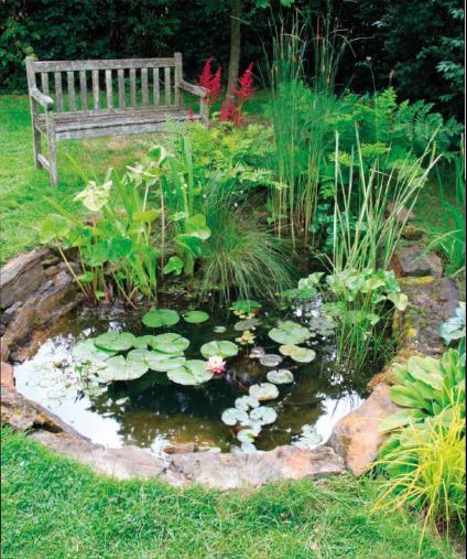 small-frog-pond-ideas-99_9 Малки жабешки езерца идеи
