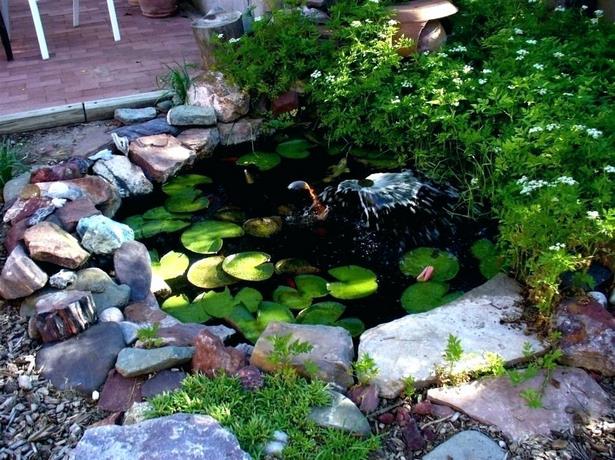 Малка градинска риба езерце идеи