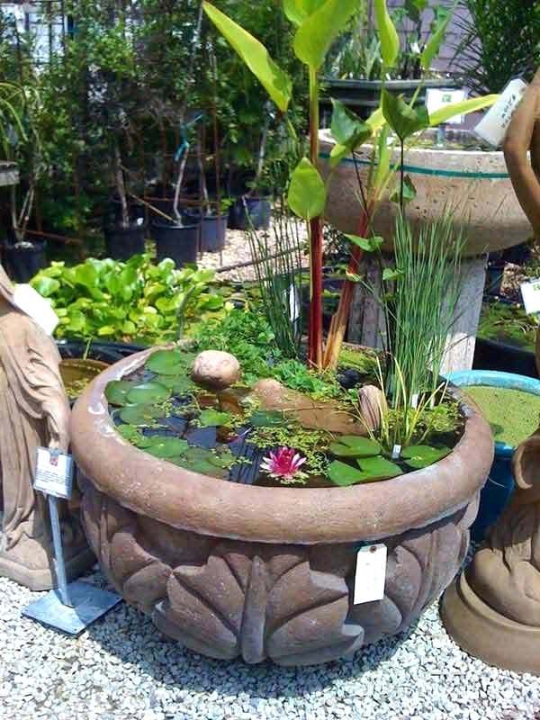small-garden-fish-pond-ideas-13_9 Малка градинска риба езерце идеи