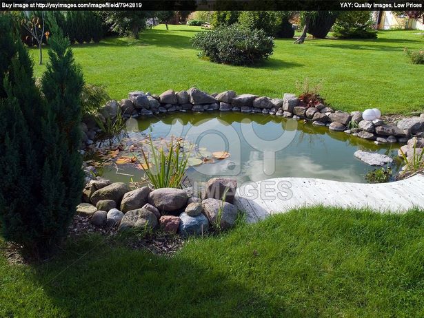 small-garden-pond-fish-86_4 Малка градинска езерце риба