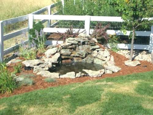 small-outdoor-fish-pond-ideas-64_19 Малки идеи за открито рибно езерце