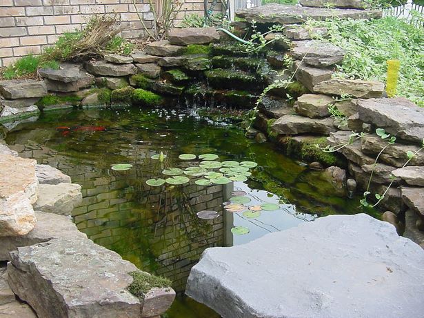 small-outdoor-fish-pond-26_16 Малко външно езерце за риба