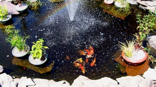 small-patio-pond-ideas-49_11 Малък вътрешен двор езерце идеи