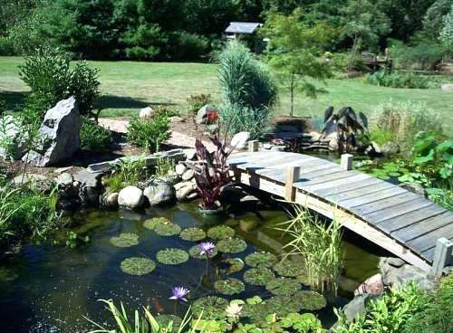 small-patio-pond-ideas-49_13 Малък вътрешен двор езерце идеи