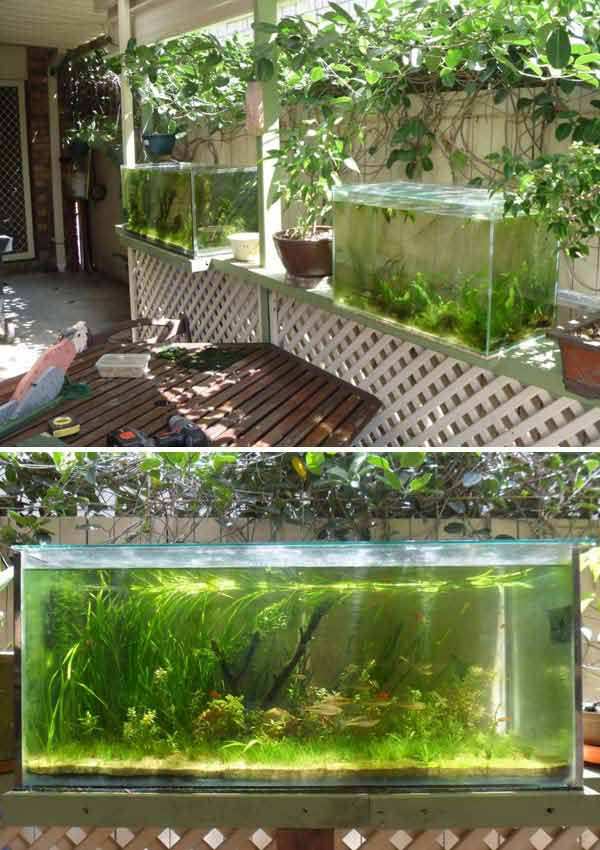 small-patio-pond-ideas-49_4 Малък вътрешен двор езерце идеи