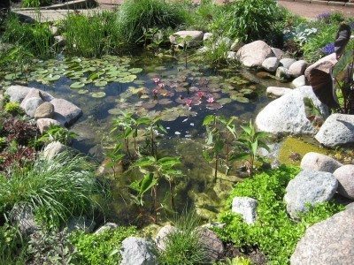 Малко езерце за градината