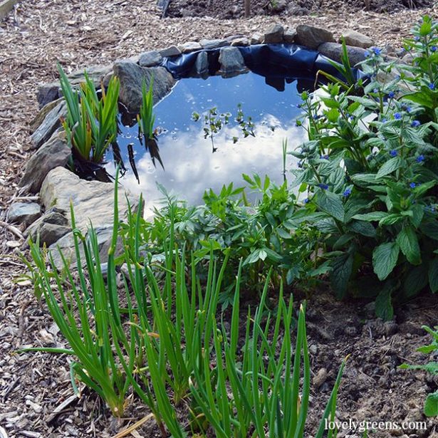small-pond-for-garden-49_13 Малко езерце за градината