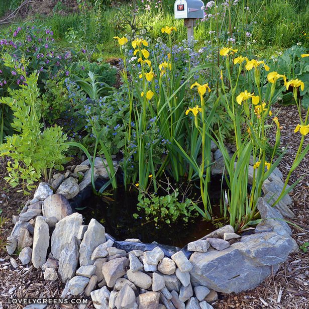 small-pond-for-garden-49_20 Малко езерце за градината