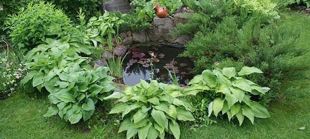 small-pond-for-garden-49_8 Малко езерце за градината