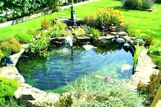 small-pond-fountain-ideas-27_17 Малко езерце фонтан идеи