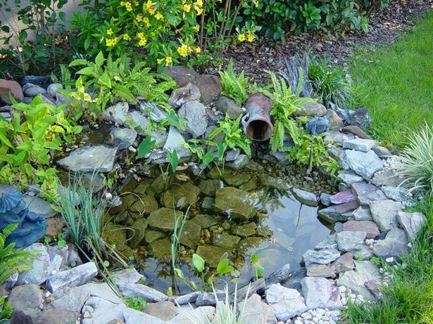 small-pond-water-feature-96 Функция за малка езерна вода