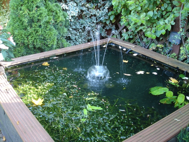 small-pond-water-feature-96_7 Функция за малка езерна вода