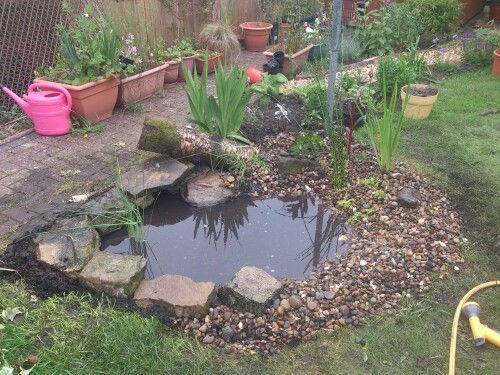small-wildlife-pond-ideas-74_17 Малки идеи за езерце за диви животни