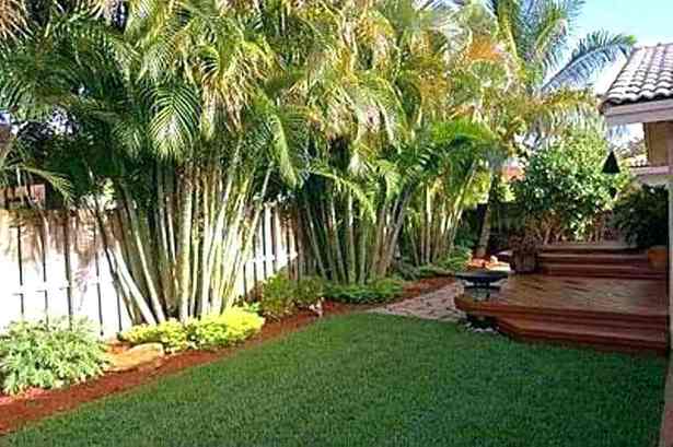 tropical-backyard-designs-44_14 Тропически дизайн на задния двор