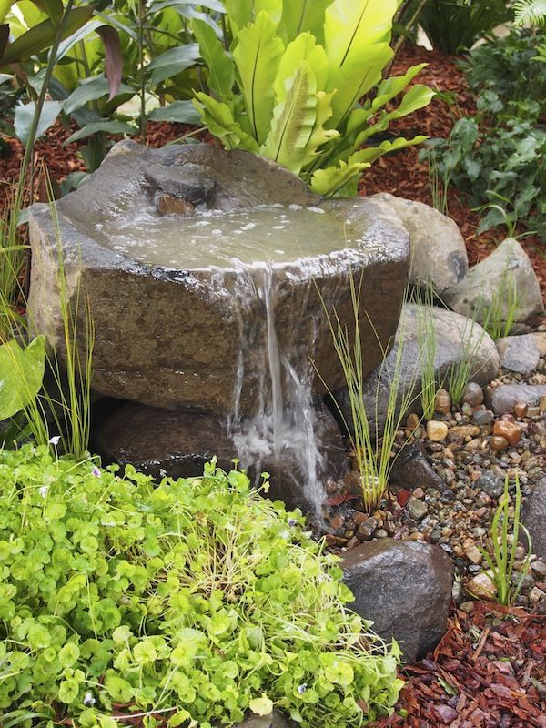 water-garden-features-ideas-47_17 Водна градина разполага с идеи