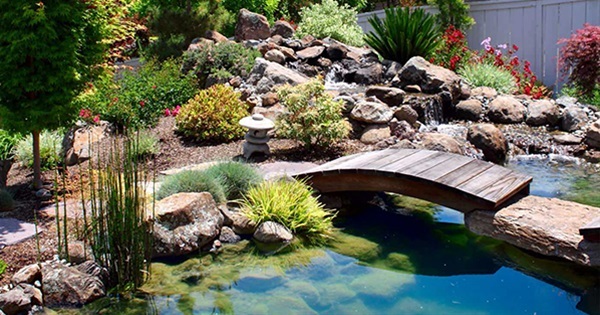 water-ponds-landscaping-ideas-71_13 Идеи за озеленяване на водни басейни