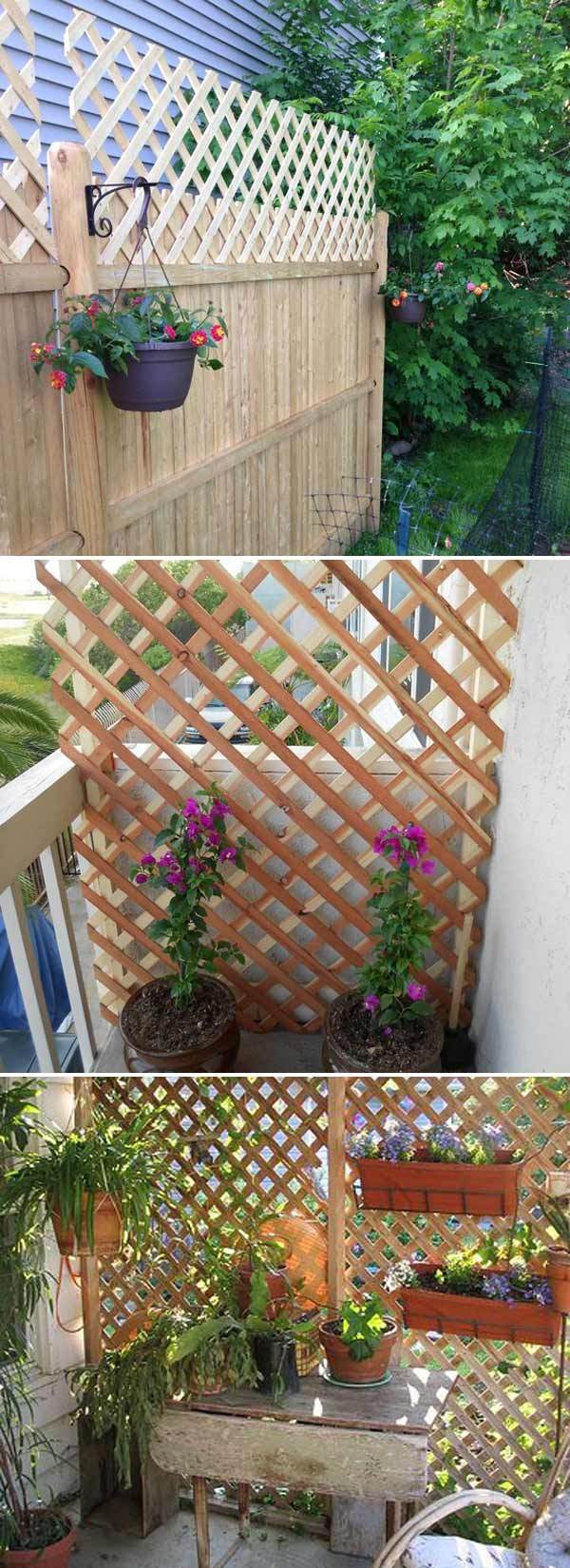 backyard-privacy-lattice-75_2 Решетка за поверителност на задния двор