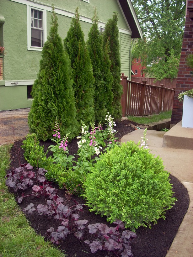 backyard-privacy-plant-ideas-99_14 Идеи за растения в задния двор