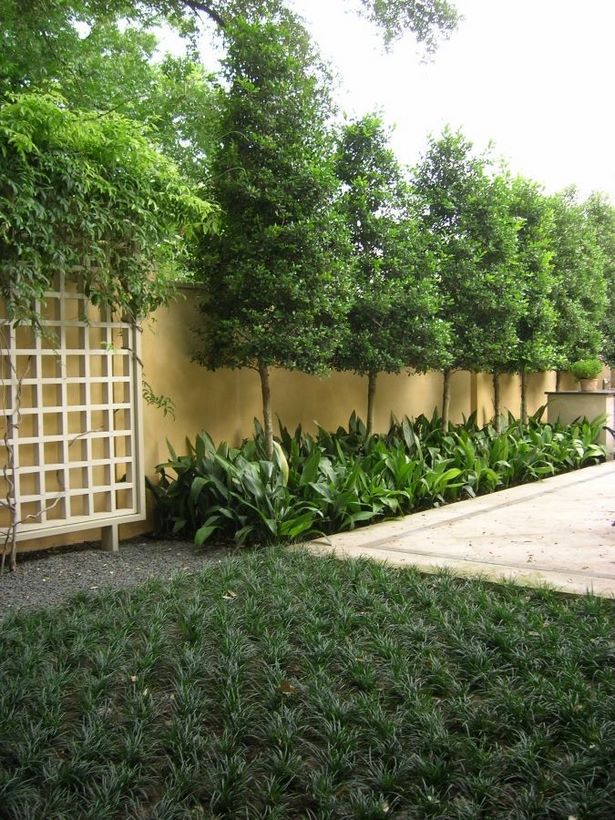 backyard-privacy-plant-ideas-99_15 Идеи за растения в задния двор