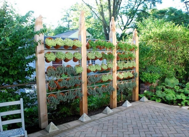backyard-privacy-plant-ideas-99_3 Идеи за растения в задния двор