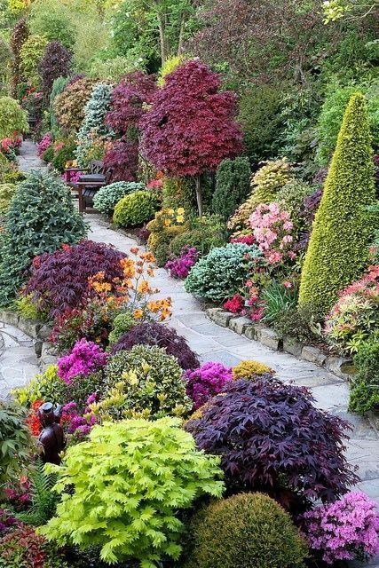 Красива цветна градина пътека