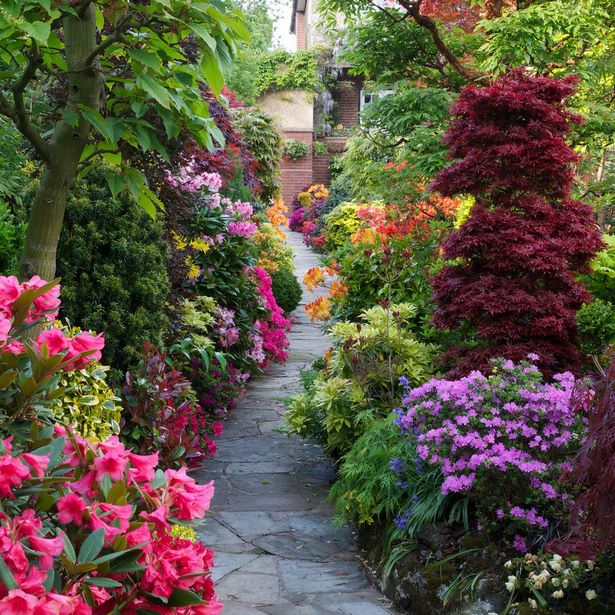 beautiful-flower-garden-path-35_13 Красива цветна градина пътека