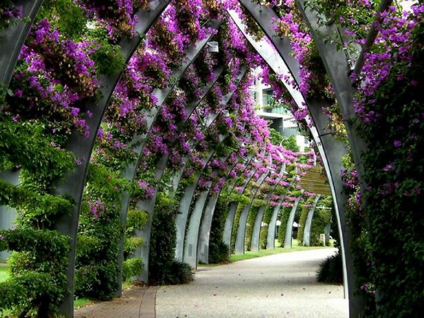 beautiful-flower-garden-path-35_7 Красива цветна градина пътека