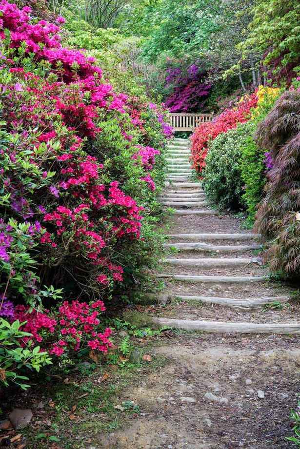 beautiful-flower-garden-path-35_8 Красива цветна градина пътека
