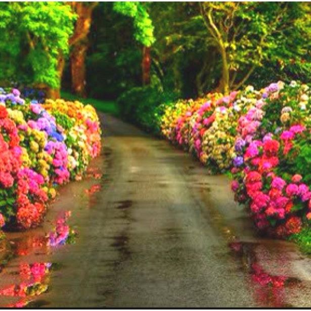 beautiful-flower-garden-path-35_9 Красива цветна градина пътека